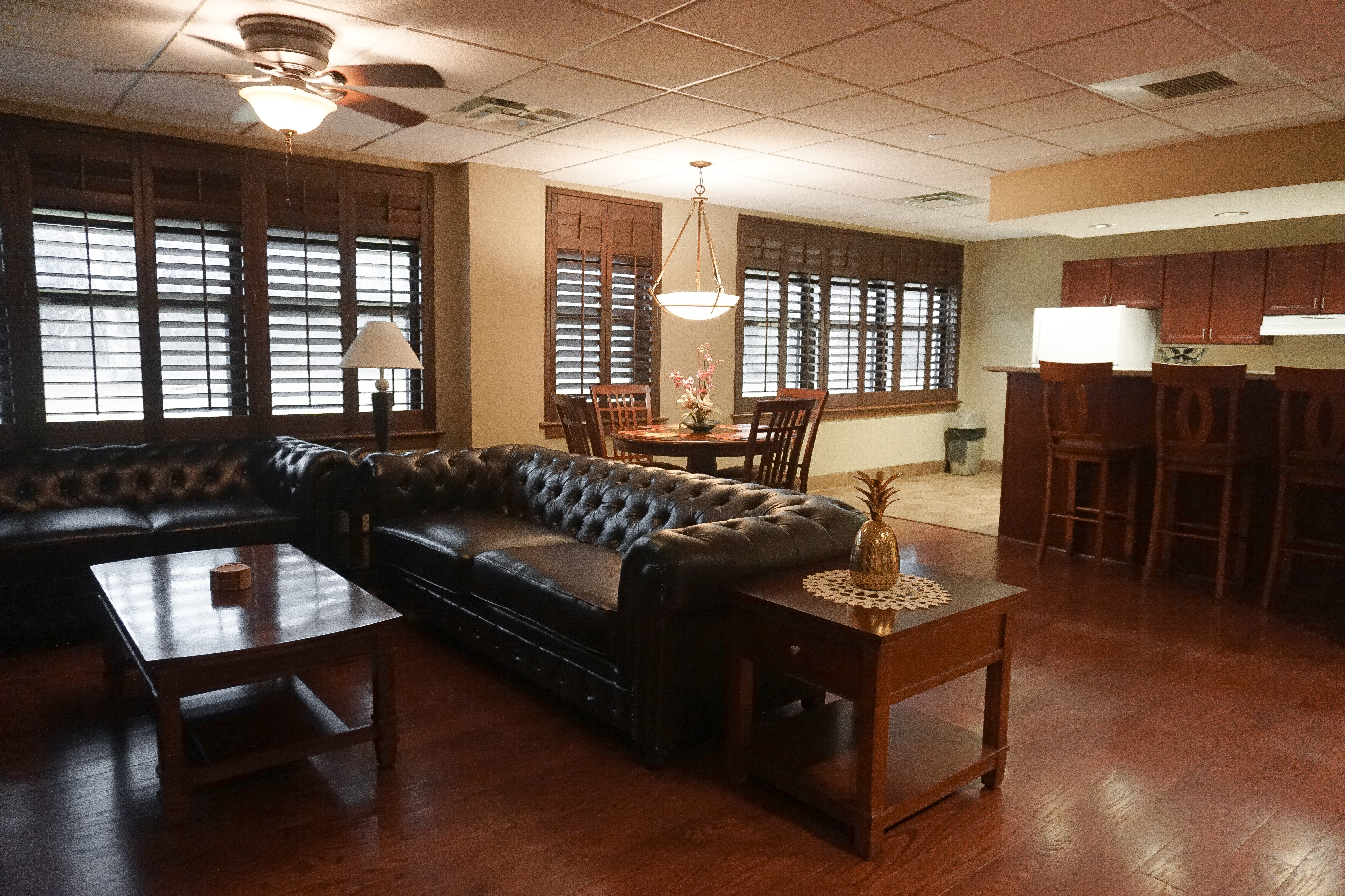 VIP SUITE_LIVING ROOM+KITCHEN.jpg