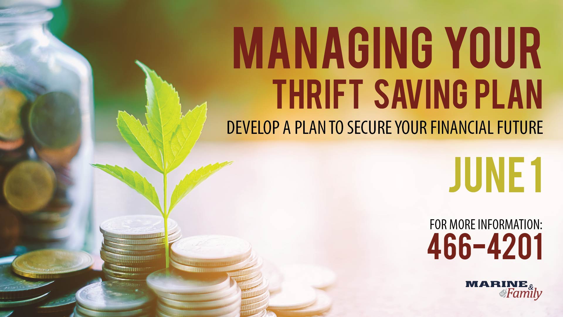 Thrift Saving Plan