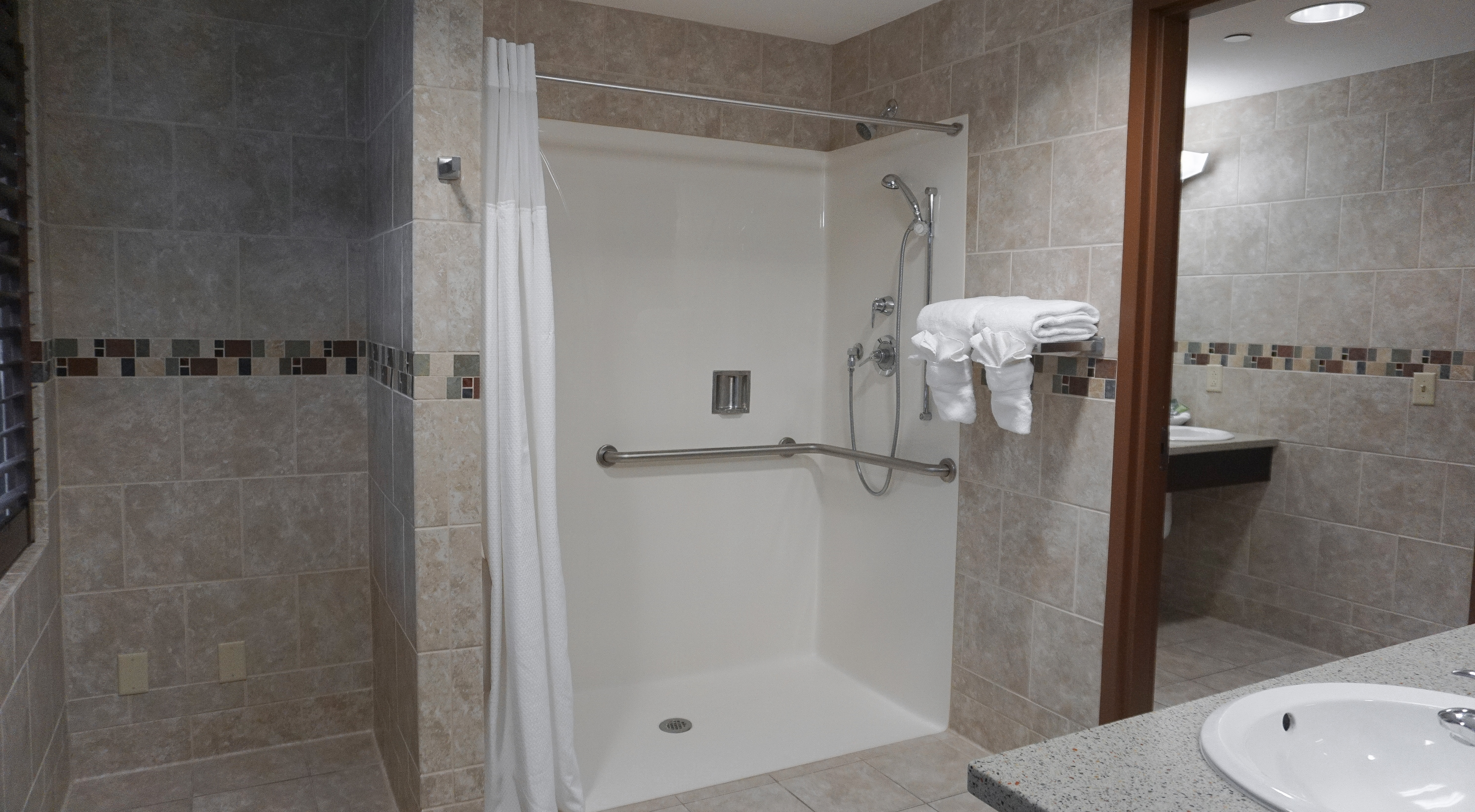 VIP SUITE_WALKINSHOWER.jpg