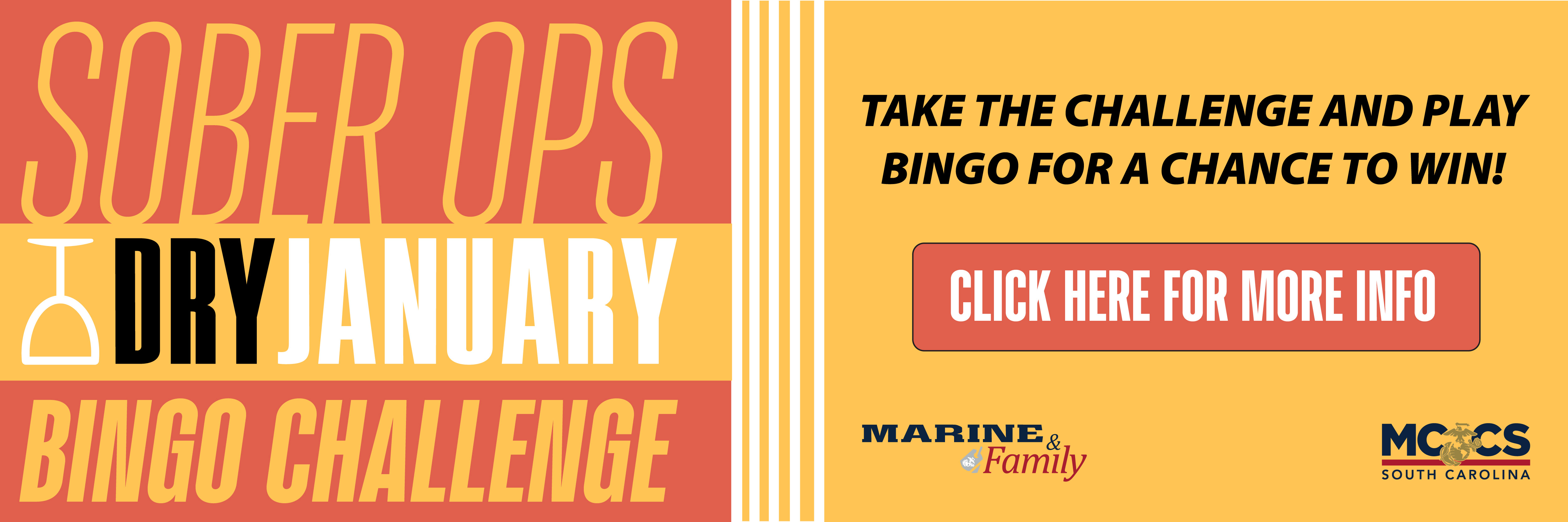 01-01 Sober Ops (Dry January) Bingo Challenge_WEB.jpg