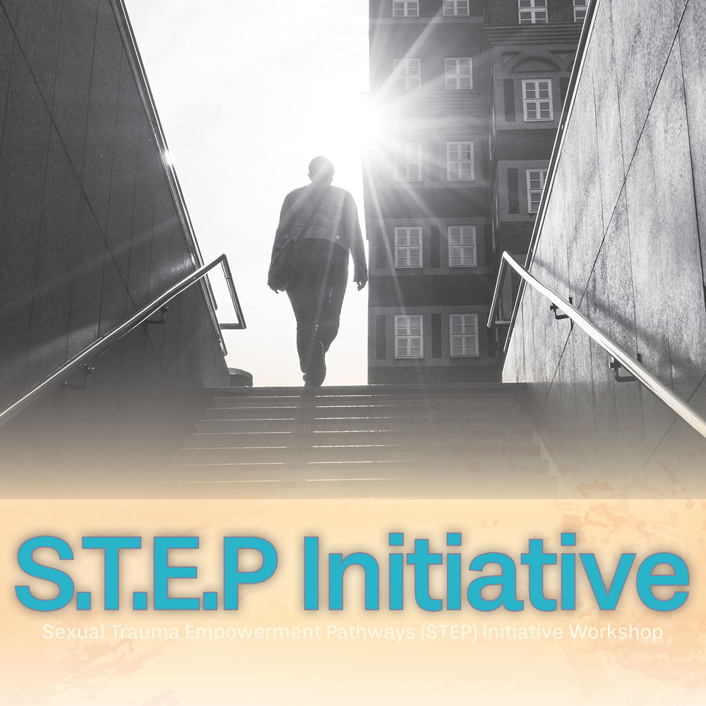 FAP S.T.E.P. Initiative Workshop