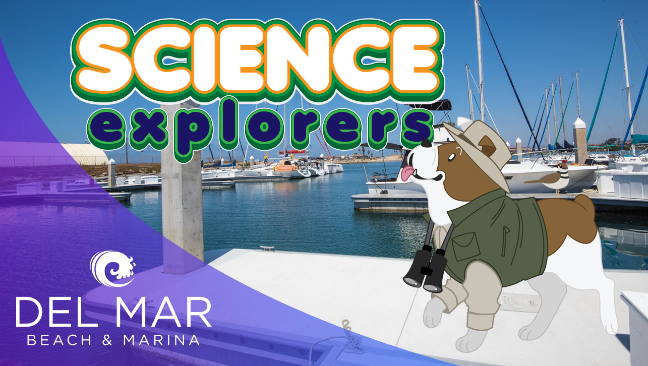 Science Explorers: What It Takes to Be a Fish in the Modern World