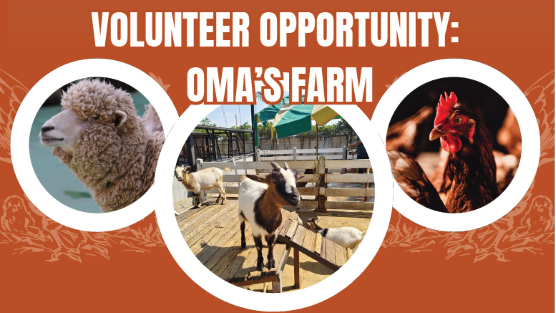 Volunteer Opportunity: Oma's Farm