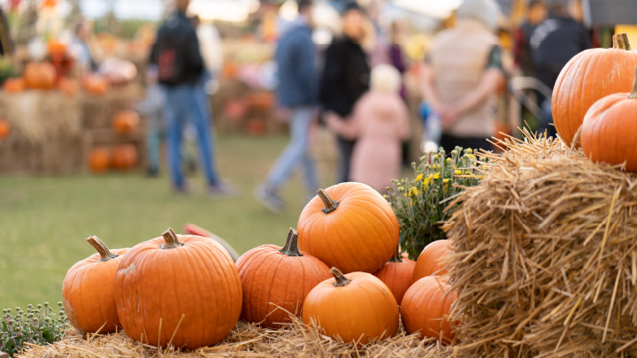 Tri-Command Fall Festival
