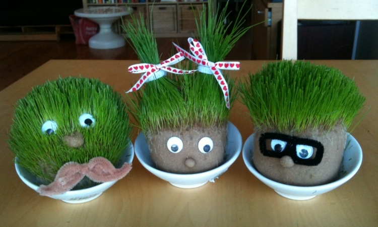 Make Your Own Chia Pet, Part of the 2026 MCCS Summer Reading Program: Plant A Seed, Read