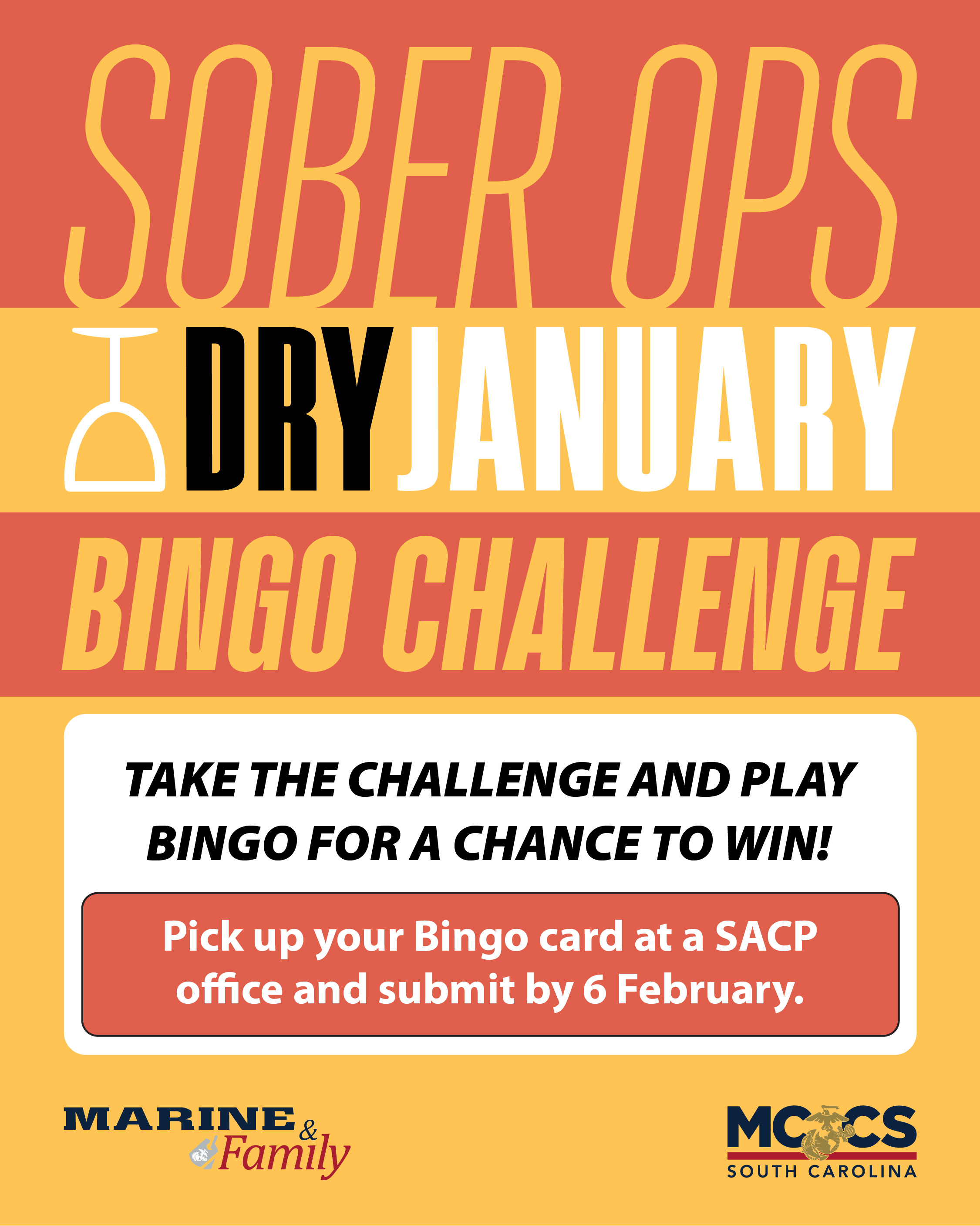 01-01 Sober Ops (Dry January) Bingo Challenge_FB.jpg