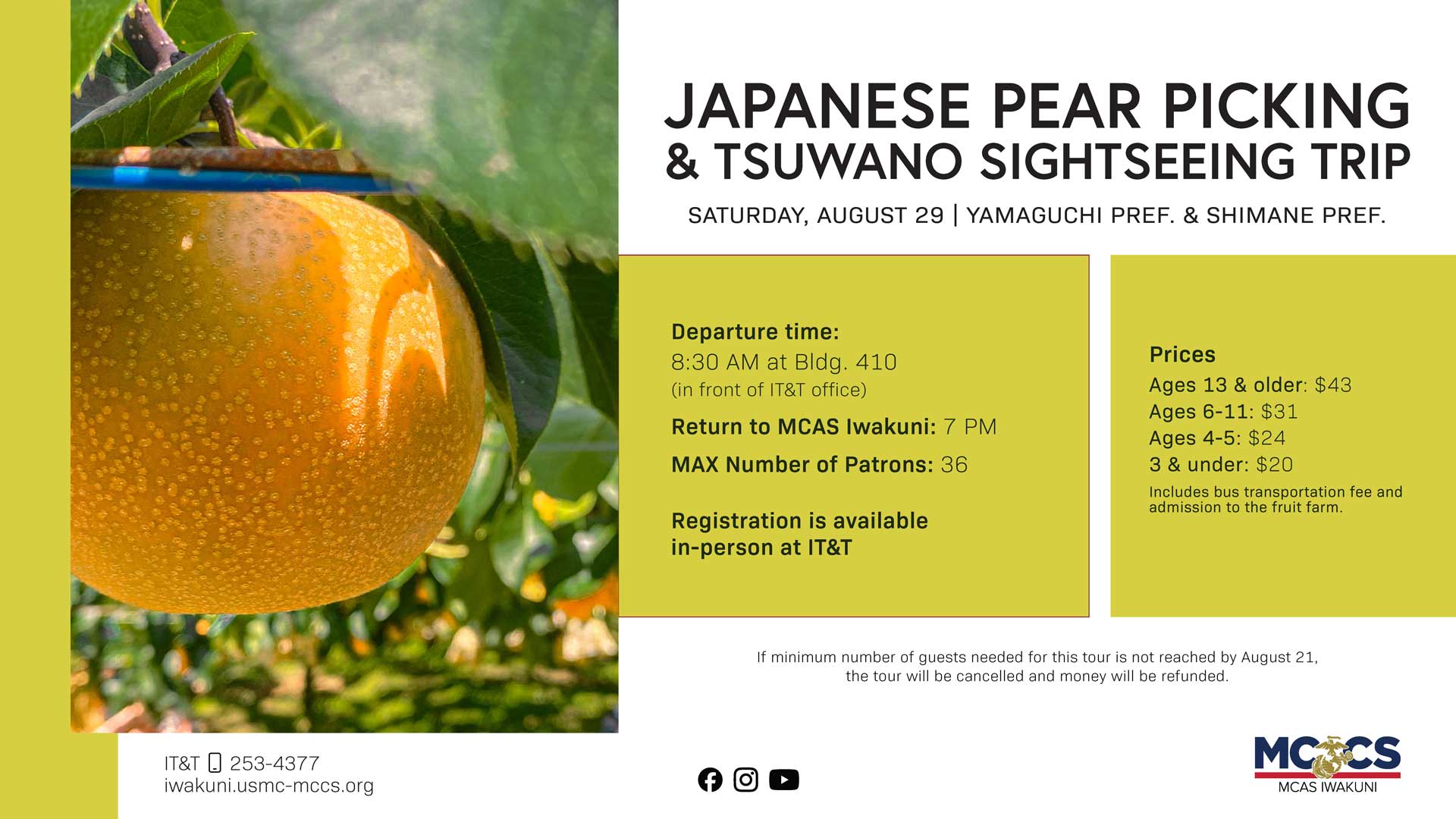 Japanese Pear Picking & Tsuwano Sightseeing Trip